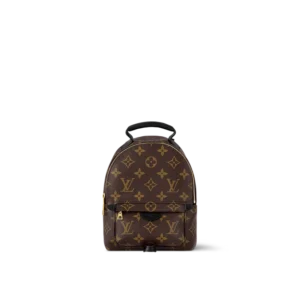 Louis Vuitton Palm Springs Mini Backpack
