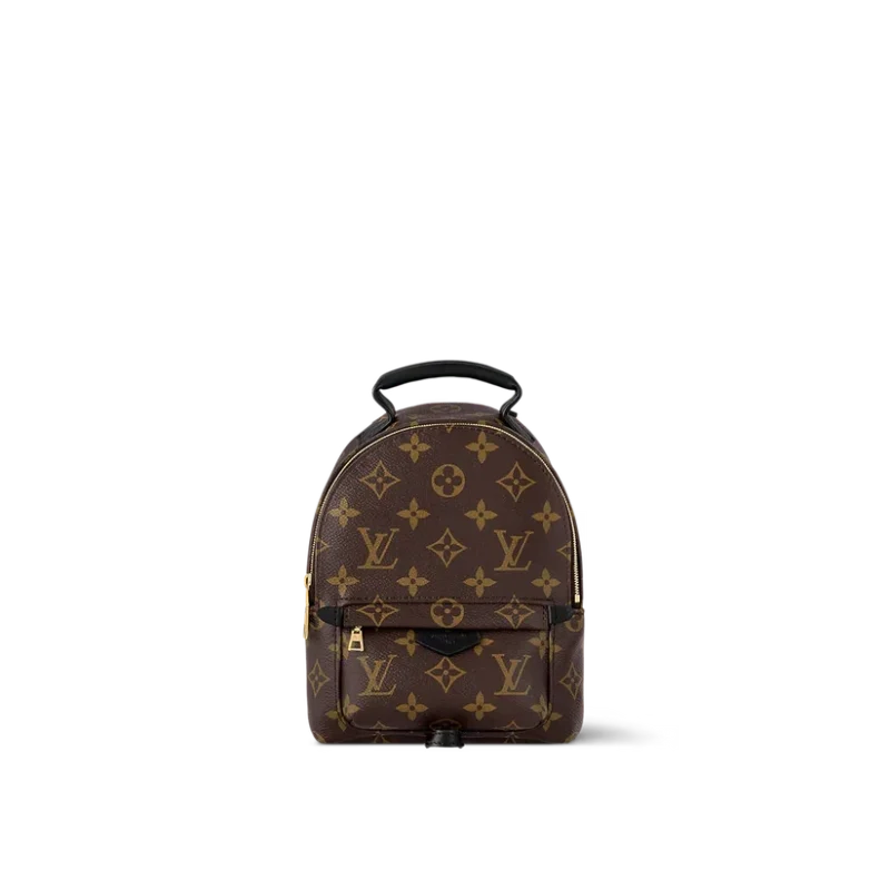 Louis Vuitton Palm Springs Mini Backpack