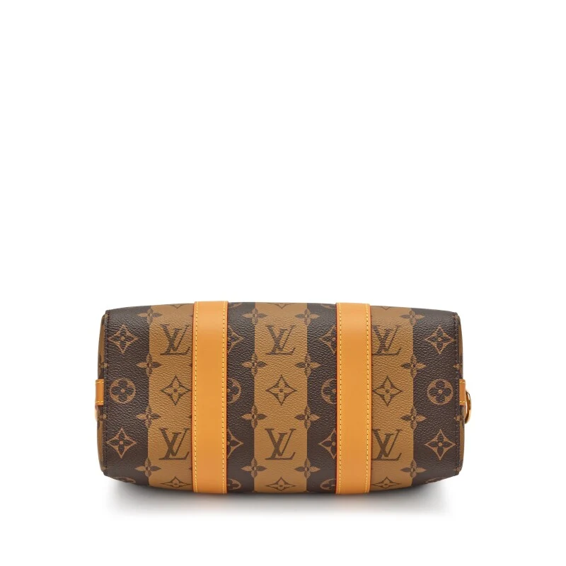 Louis Vuitton Nigo - Brown Coated Canvas - Image 6