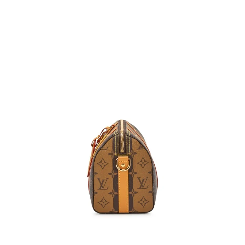 Louis Vuitton Nigo - Brown Coated Canvas - Image 4