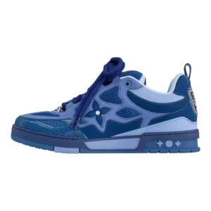 Louis vuitton skate
